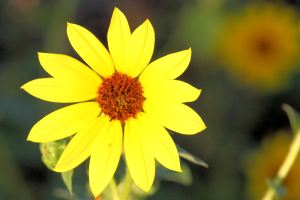 davis family 102011 059