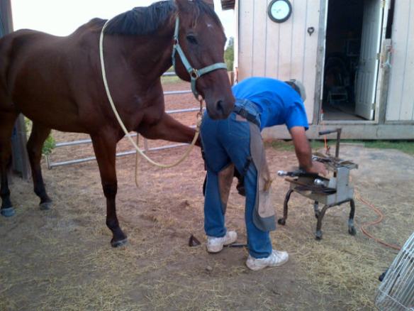 Leo with Roland getting his pedicure