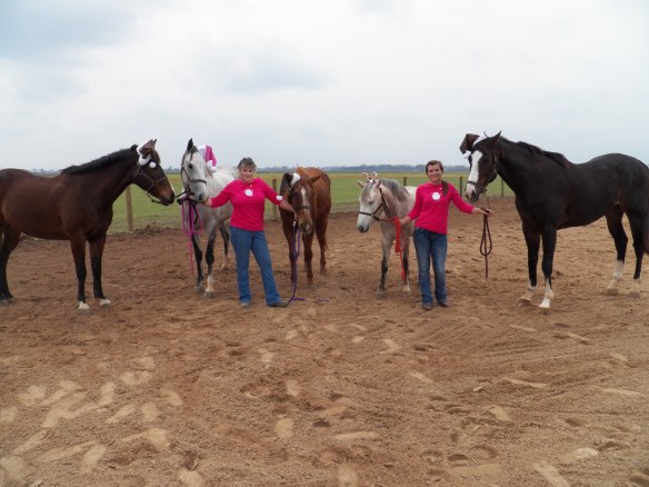 Mickey, Feather, me, Kid, Mimi, Lauren and Bruno in the one moment when they all stood still.