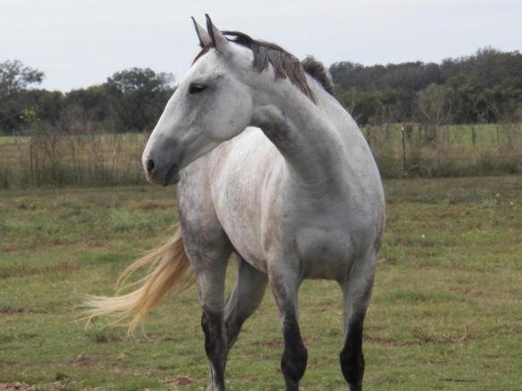 381967_4623054382037_2104437255_n