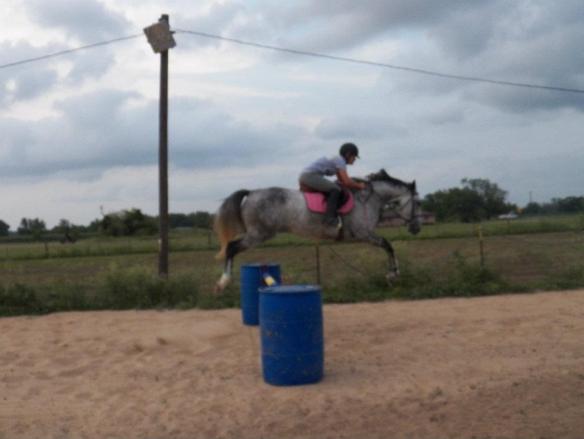 The first time we jumped her, we were caught off-guard.  These barrels are a little over three foot high and Feather was easily jumping over four foot.  She is a natural and while we are taking it slow, she has not yet given us a clue as to exactly how high she can jump.  But boy, she can jump!
