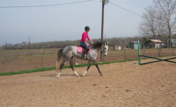 407972_2997754590558_54701230_n