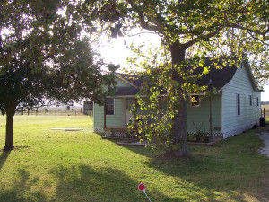 Note how the house is raised off the ground.  This allows predators (cats!) to live underneath it.