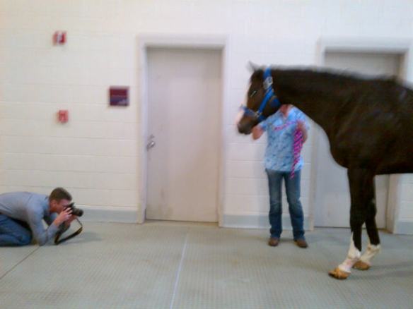 Dr. Marsh getting down on the ground to get up to date pictures of Bruno's hoof. Bruno was pretty interested!