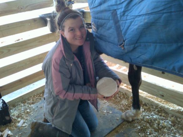 Newly bandaged and clothed in a clean blanket.  