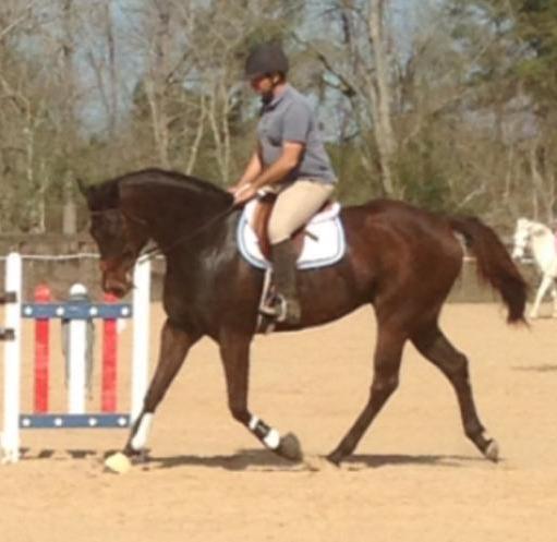 Joey, so beautiful, with Dev, big, flowing trot, overflowing heart.