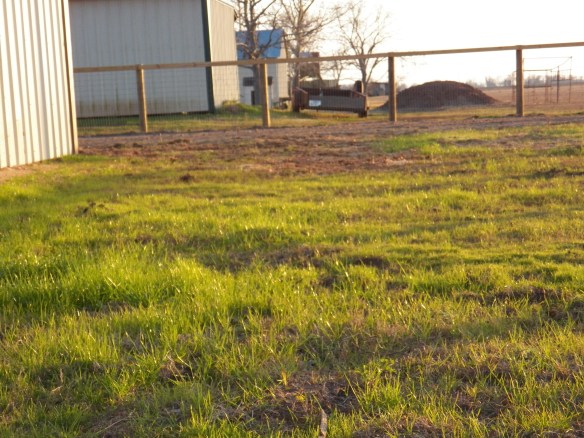 It is starting to get green around here again.