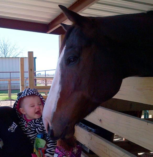 Northeast%20Wharton-20130216-00021[1]