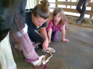 Jordyn, acting as the vet tech for Aunt Lauren!