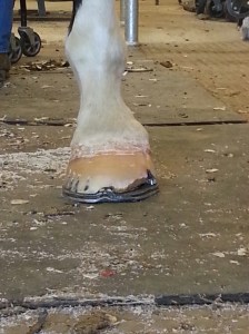 From the front-looking good.