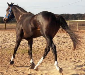 Come back, big guy, come back!