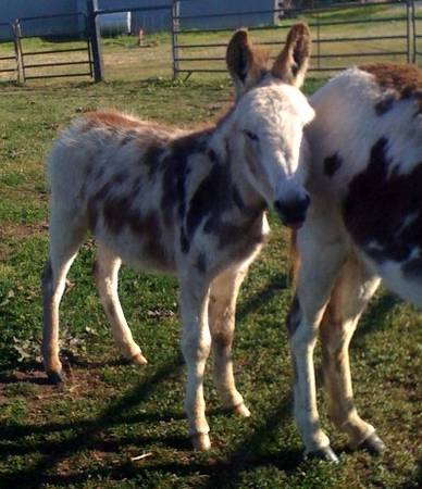 Does this look scary to you?