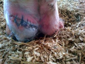 Looking so much better!