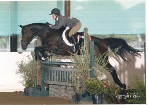 Mickey and Lauren gliding over a "hunter"  jump.  Notice only colors found in nature and natural props/