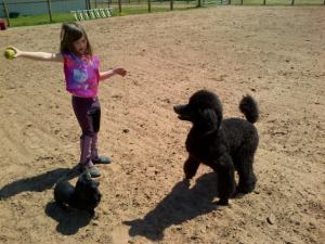 Jordyn waiting her turn to ride and playing ball with the dogs.