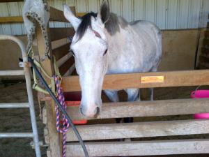 Feather's skinned face.