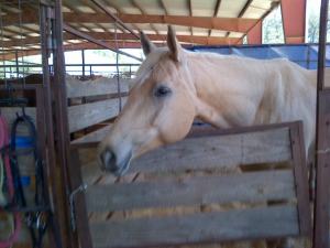 Bellville-20130419-00176