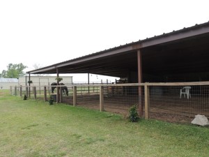 The roof extension on the barn-just in time.