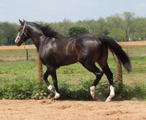 Investigating the world again