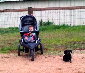 Lula steadfastly waiting with Kendyll as mom and sis ride.