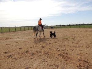 Lauren, Feather. Kona and the big Texas sky.