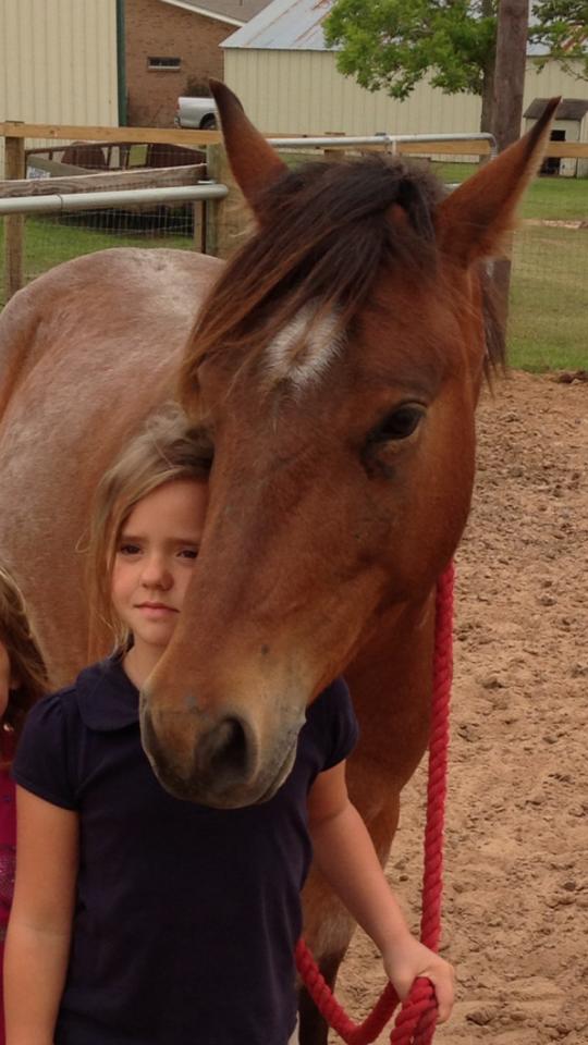 Adelena with new pony Scholar.  I am hoping she is deeply surpressing immense joy in her new pony.