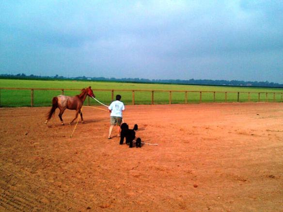 My team working the pony under the endless sky.