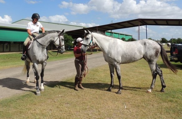 Lauren on Flagmount's Irish Freedom and Robbie with Flagmount's Mischief