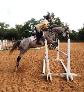 Feather showing a good bascule over this ascending oxer (lower in the front, higher in the back).