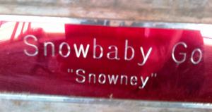 Getting Snow's stall all set for his return! If you look carefully you can see the poodle's reflection. 