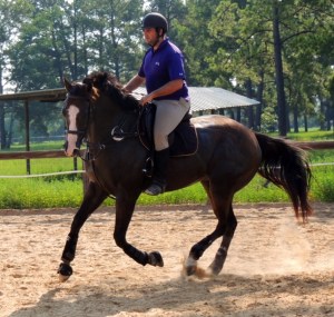 Dev gets the canter.