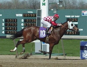 Bruno's great grandsire, Hansel.