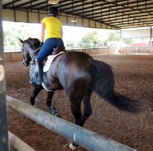 Bruno working softly and quietly down the line.