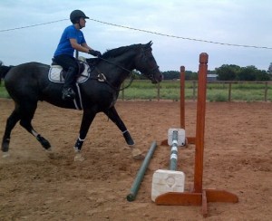 Attentive and ready!