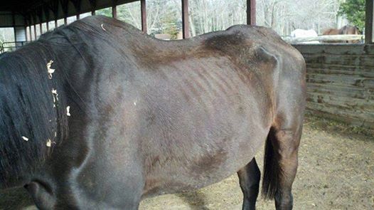 This famous boy near starvation just days ago.