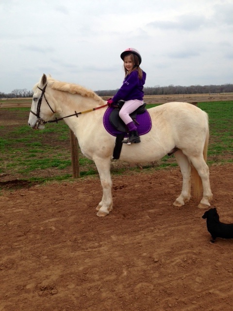 Jordyn with all her Christmas gear on her Snowney.