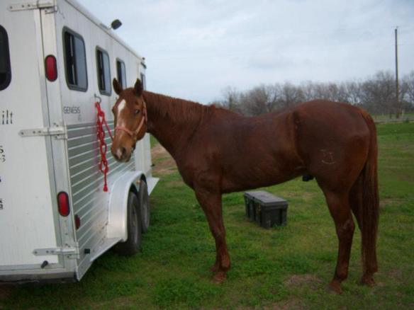 Mr. Kid 32 years young.