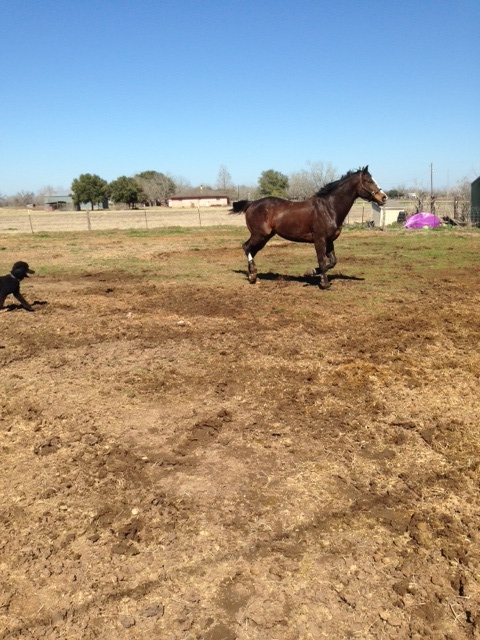 And off they go again!