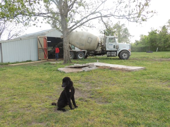Kona and the concrete truck!