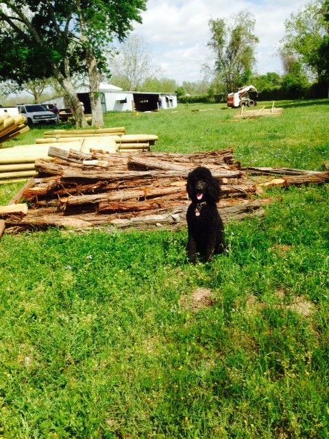 Kona after completing inventory of the the fencing equipment.