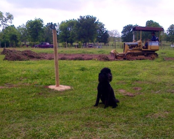 Sick of Kona yet?  In front of the arena, with  the tractor behind him.