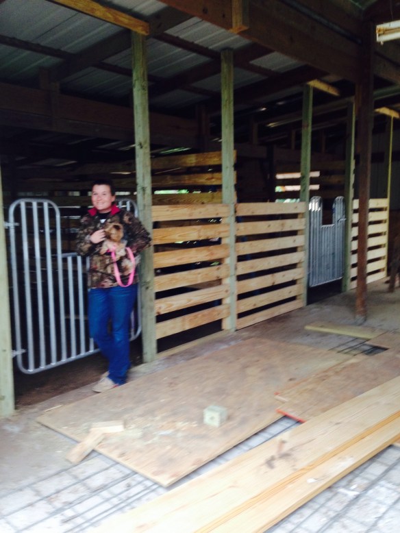 Stalls are almost ready for horses.