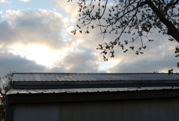 Dawn over the barn as we waited for the concrete truck to arrive.