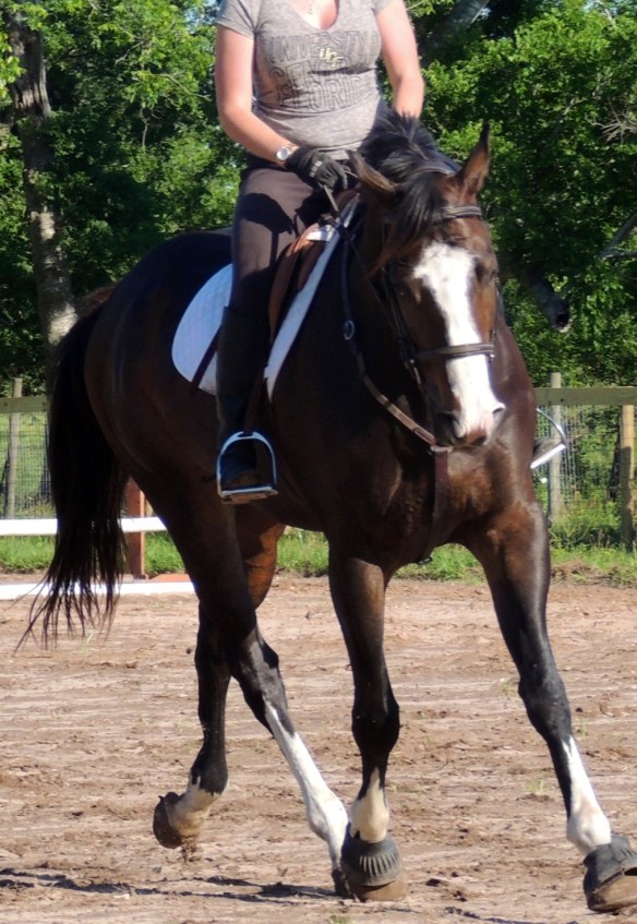 First ride, learning to bend.