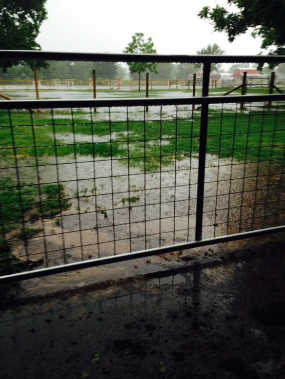 The rain ran like a river through the storage side of the barn.