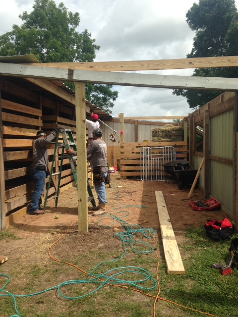 Making the add-on stalls tall enough for the big girl my little girl will become (did you follow that?).