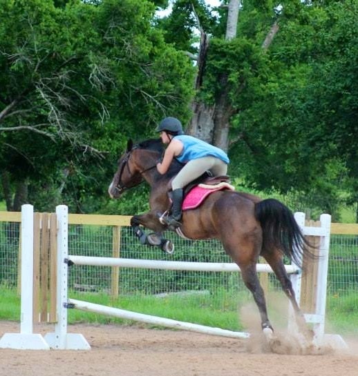 Cody is settling in well to life at Six Meadows.