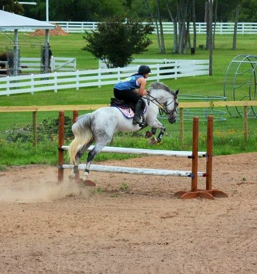 Feather still flying even as the heat and humidity bear down on Houston.