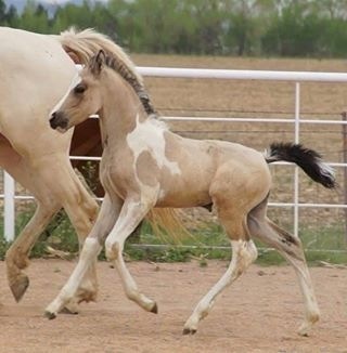 Showing how she floats along.