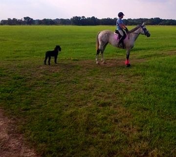 Lauren, Kona and Feather riding the endless meadows of Wharton.